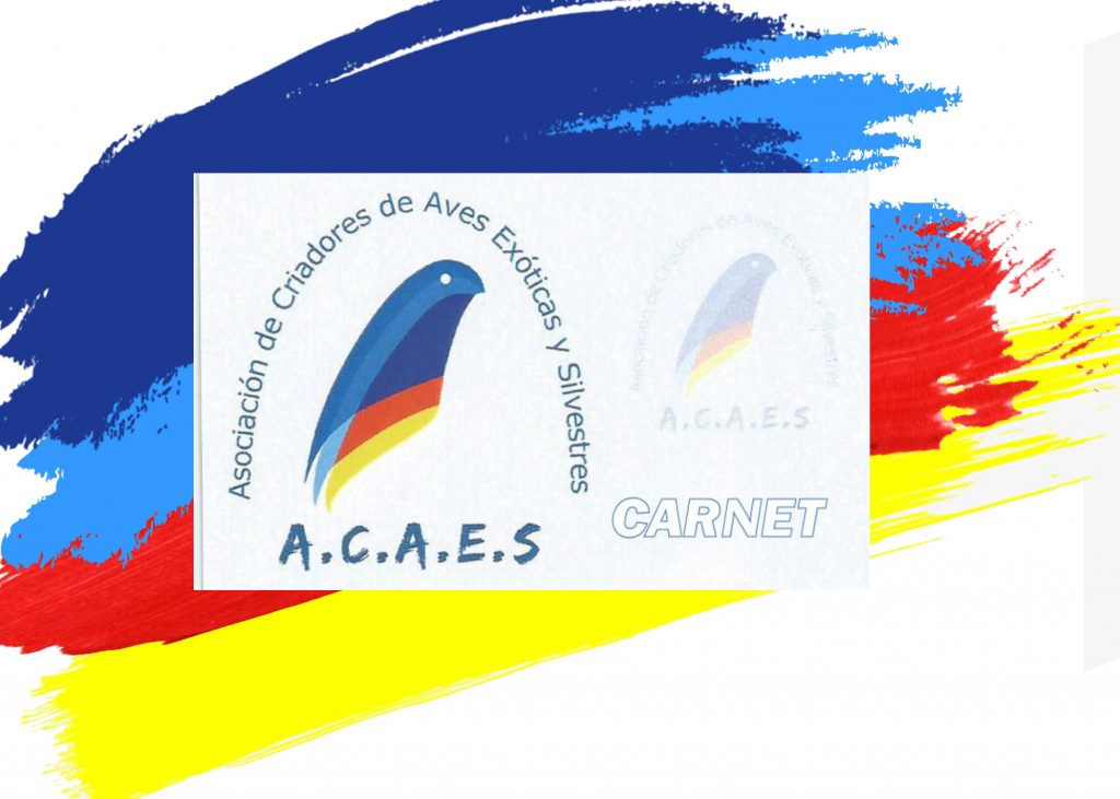 Carnet de socios Acaes Club