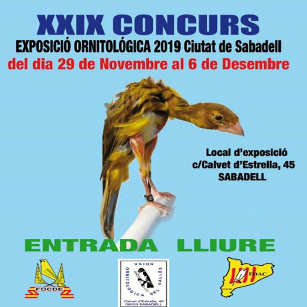 Exposicion ornitologica
