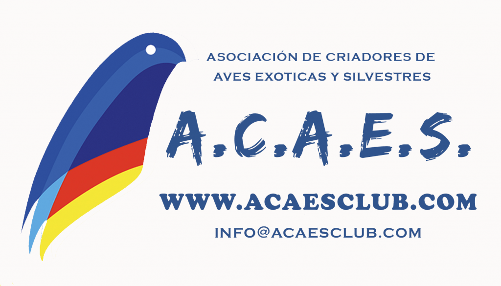 Acaes logo