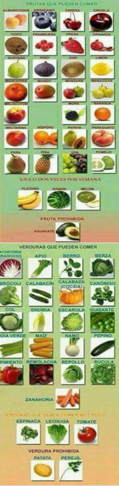 Fruta y verd8ura para pajaros