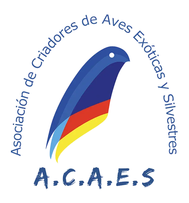 Acaesclub